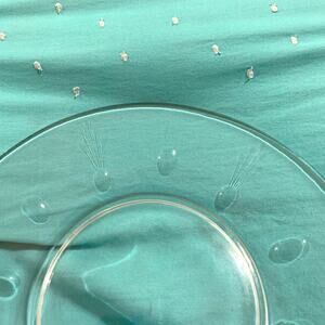 Vtg Atomic age plates set